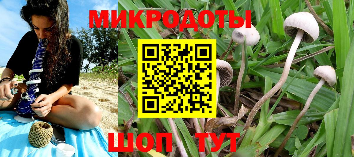 Боровичи  Галлюциногенные грибы прущие грибы  Вход с VPN 